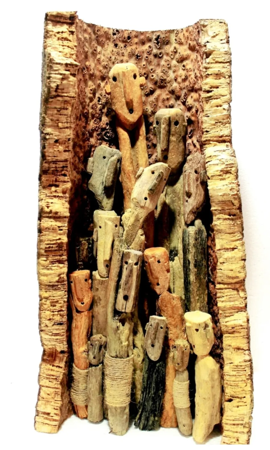 Familia de termitas